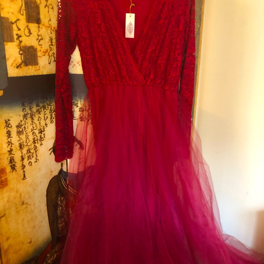 New sz L/XL BLUSH brand Lace and Tulle Gown